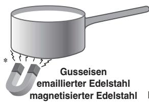 Gusseisen emaillierter Edelstahl magnetisierter Edelstahl