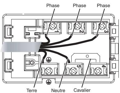 SCHOLTES TRP 632 TDL - Autres types de branchement - 1
