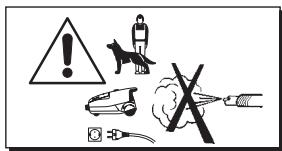 POLTI VAPORETTO 2000 - PRECAUCIONES PARA SU USO - 2