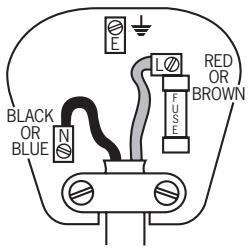 POLTI BRIO 1800 - Fitting the mains plug important - 1