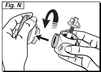 Fig. N
