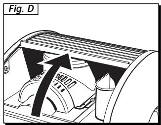 Fig. D m0000