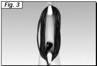 POLTI CINDERELLA AS 310E - MANTENIMIENTO - 3