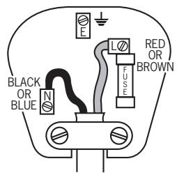 POLTI COLIBRI 2000 - Fitting the mains plug important - 1