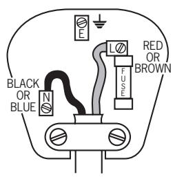 POLTI EASY BRUNCH - ELECTRICAL SAFETY - 1