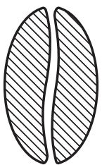 POLTI ESPRESSO SUPER AUTOMATIC - ESPRESS - 1