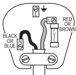 POLTI FANCY STYLE IONO - Fitting the mains plug important - 1