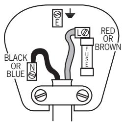 POLTI PROFESSIONAL 2800 - Fitting the mains plug important - 1