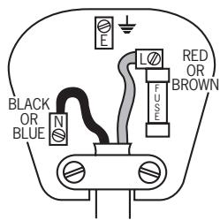 POLTI PROFESSIONAL IONO 3000 - Fitting the mains plug important - 1