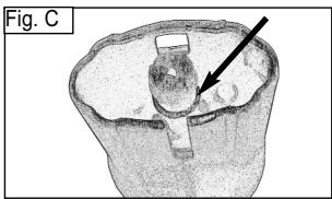 POLTI VT POCKET 2.0 - CONSEILS POUR L'ENTRETIEN GENERAL - 1