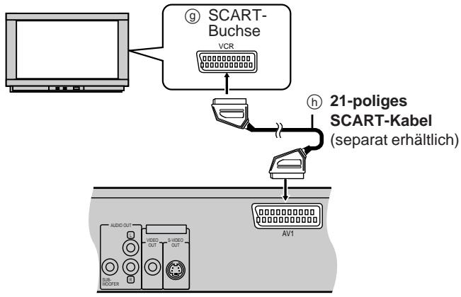 DENON DVD-800 - SCART-Buchse - 1