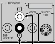 DENON DVD-800 - A - 2