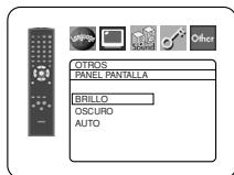 OTROS PANEL PANTALLA BRILLO OSCURO AUTO