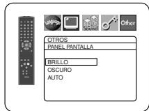 OTROS PANEL PANTALLA BRILLO OSCURO AUTO