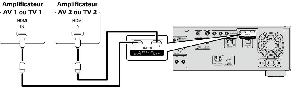 DENON DVD-A-1UD - - Avant d'allumer - 3