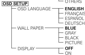 DENON DVD-A11 - Setup items for use - 3