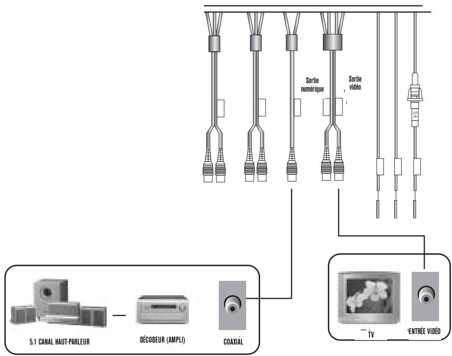 BLAUPUNKT DVD-ME3 - Connexion au système - 3