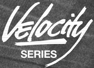 BLAUPUNKT VPW 460 - BLAUPUNKT - 2