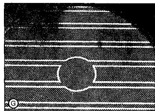 SMEG SE2631TC - Changes to the colour of the ceramic surface - 7