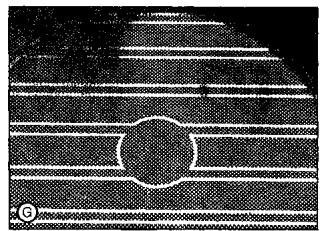 SMEG SE2631TC - Cambios de color de la encimera - 7