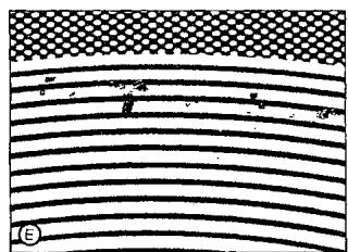 SMEG SE2631TC - Cambiamenti di colore della superficie in vetroceramica - 5