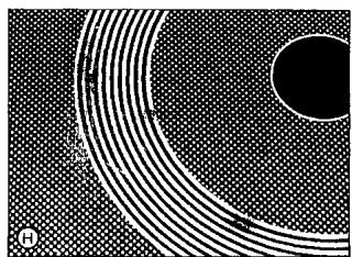 SMEG SE2631TC - Cambios de color de la encimera - 8