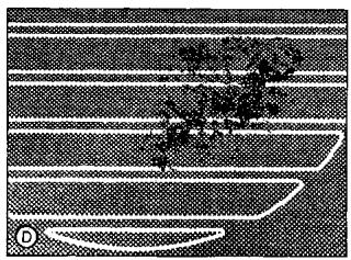 SMEG SE2631TC - Cambios de color de la encimera - 4