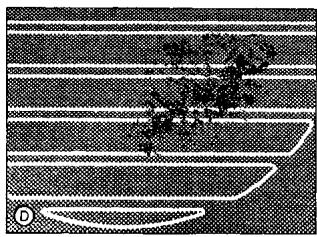 SMEG SE2631TC - Farbliche Veränderungen des Kochfeldes - 4