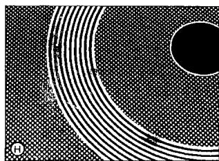 SMEG SE2631TC - Farbliche Veränderungen des Kochfeldes - 8