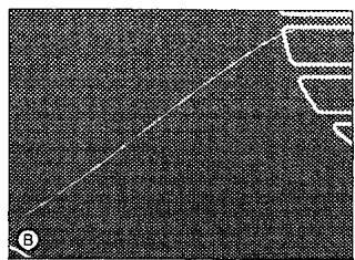SMEG SE2631TC - Farbliche Veränderungen des Kochfeldes - 2