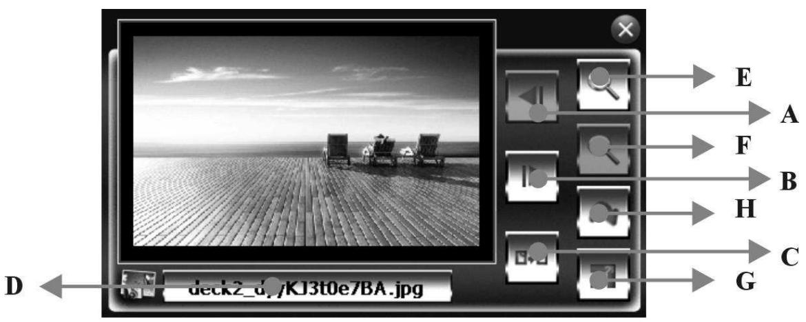 TAKARA GP45 - Photo - 2