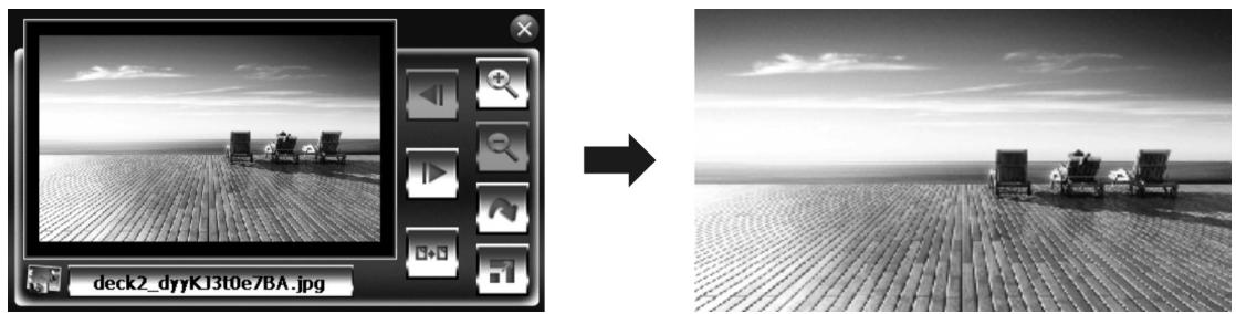 TAKARA GP45 - Photo - 3