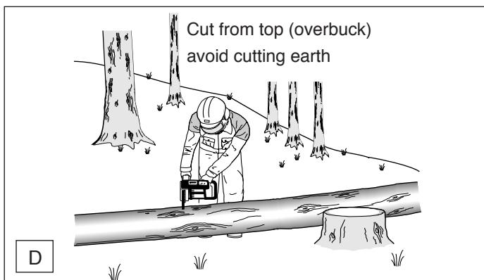 MAKITA UC4030A - Limbing a tree - 4