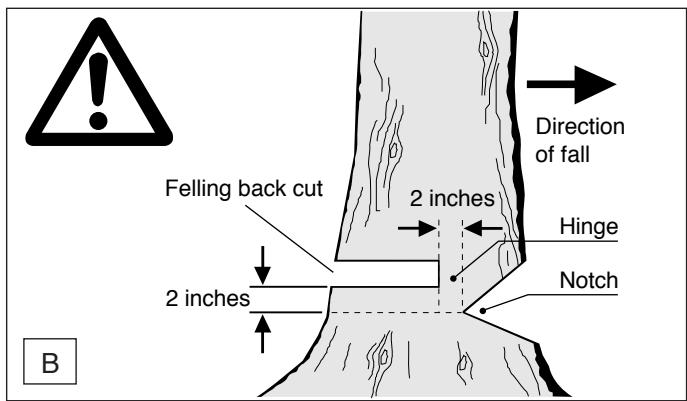 MAKITA UC4030A - Limbing a tree - 2