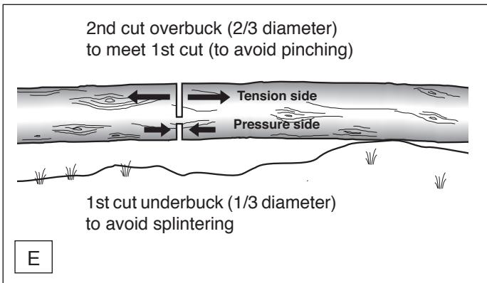 MAKITA UC4030A - Bucking a log - 1
