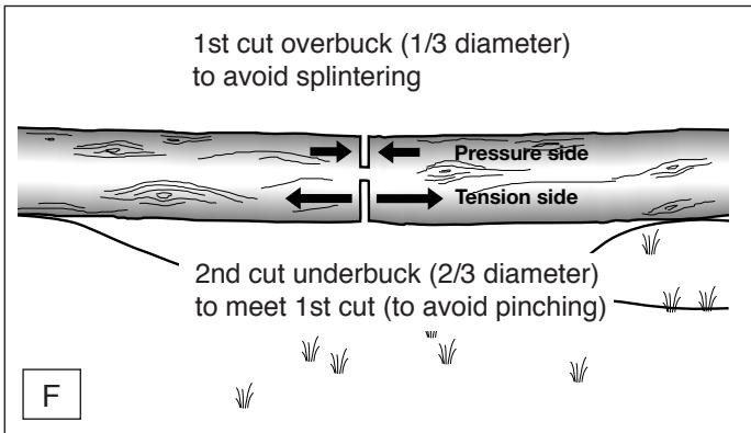 MAKITA UC4030A - Bucking a log - 2