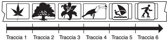 Traccia 1 Traccia 2 Traccia 3 Traccia 4 Traccia 5 Traccia 6