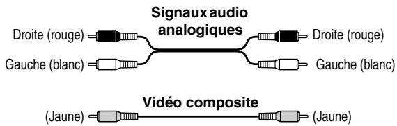Signaux audio analogiques Droite (rouge) Gauge (blanc) Droite (rouge) Gauge (blanc) Vidéo composite (Jaune)
