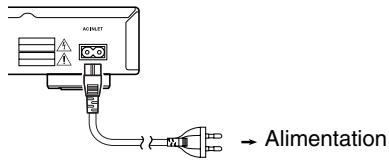 AC INPUT → Alimentation