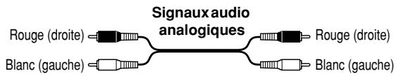 Signaux audio analogiques Rouge (droite) ← [ ] → Rouge (droite) Blanc (gauche) ← [ ] → Blanc (gauche)