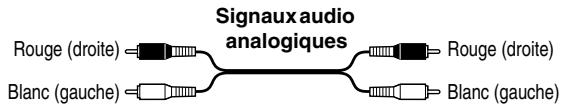 ONKYO DV-SP504E - Code de couleurs des prises RCA pour appareils AV - 1