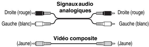 ONKYO DV-SP305 - Code de couleurs des prises RCA pour apparèils AVive des disques en vous servant du cable AV (RCA) fourni. Avec cette installation, lessons stéréophoniques sont émis par les haut-parleurs du téléviseur.

![](images/f3d94c7926f7fe3eea25d3b65a397b8b4cd0feb203d0edcdd77910b11b49cde6.jpg) - 1
