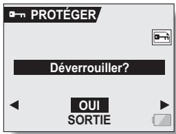 SANYO XACTI VPC-HD1AEX - PROTECTION DES IMAGES - 2