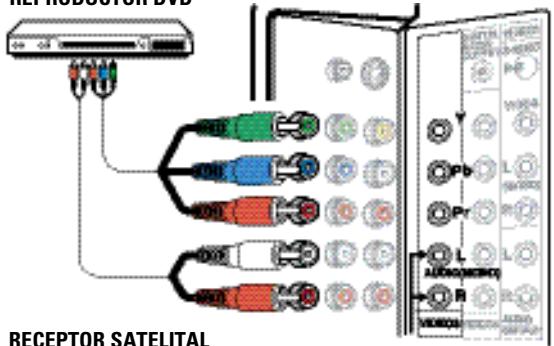 SANYO DP32648 - Conexiones de Señal Digital—Video1 y Video3 (opcional) - 1