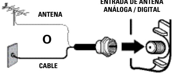 ANTENA O CABLE ENTRADA DE ANTENA ANÁLOGA / DIGITAL