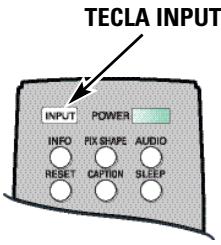 TECLA INPUT INPUT POWER INFO RX SHAPE AUDIO RESET CAPTION Sleep
