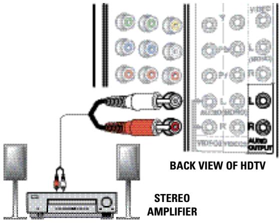 BACK VIEW OF HDTV STEREO AMPLIFIER