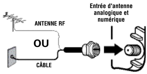 ANTENNE RF OU CÂBLE Entrée d'antenne analogique et numérique