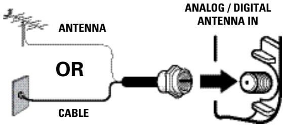ANTENNA OR CABLE ANALOG / DIGITAL ANTENNA IN