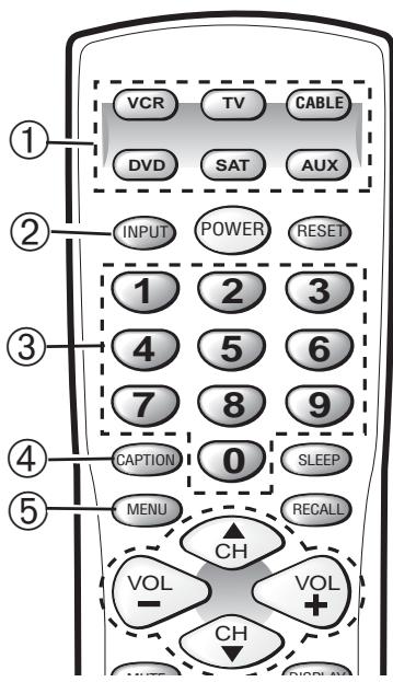 SANYO DS32424 - Teclas del Control Remoto - 1